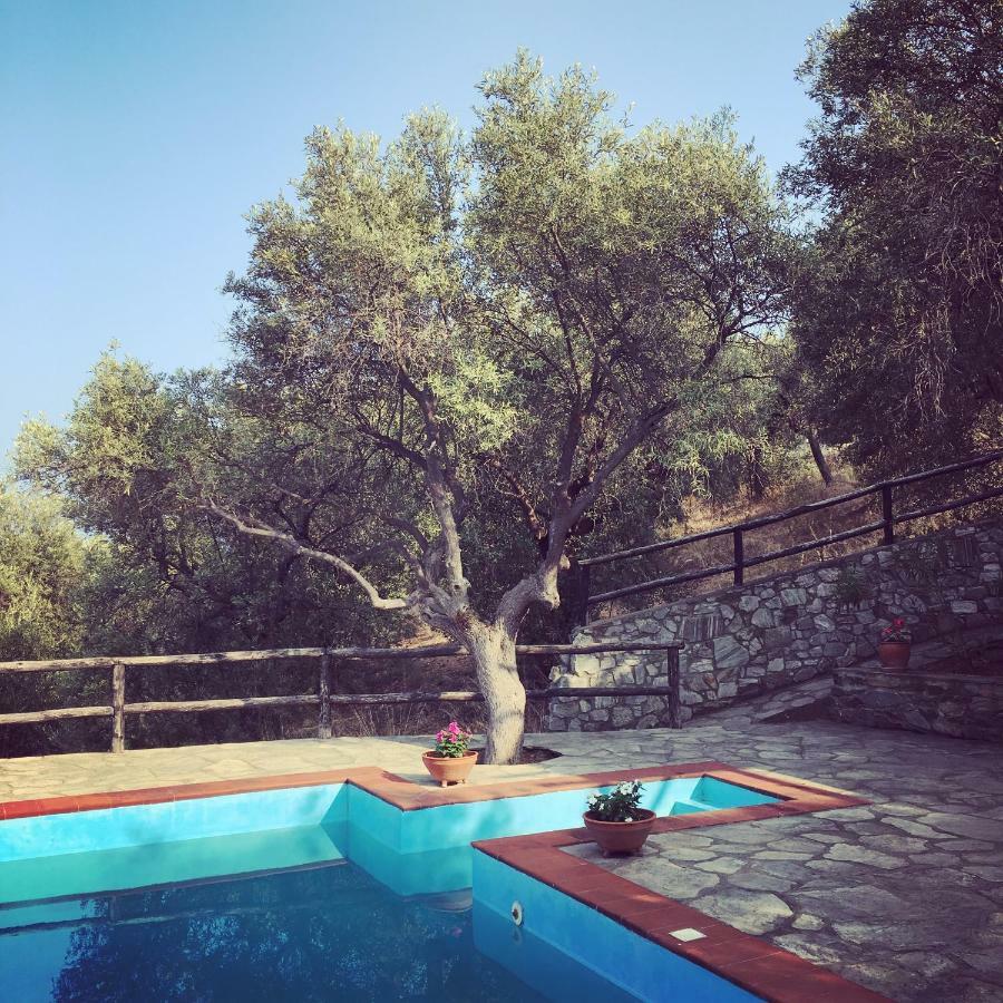 Villa Valia: Traditional Luxurious Residence Pyrgadikia Exterior foto